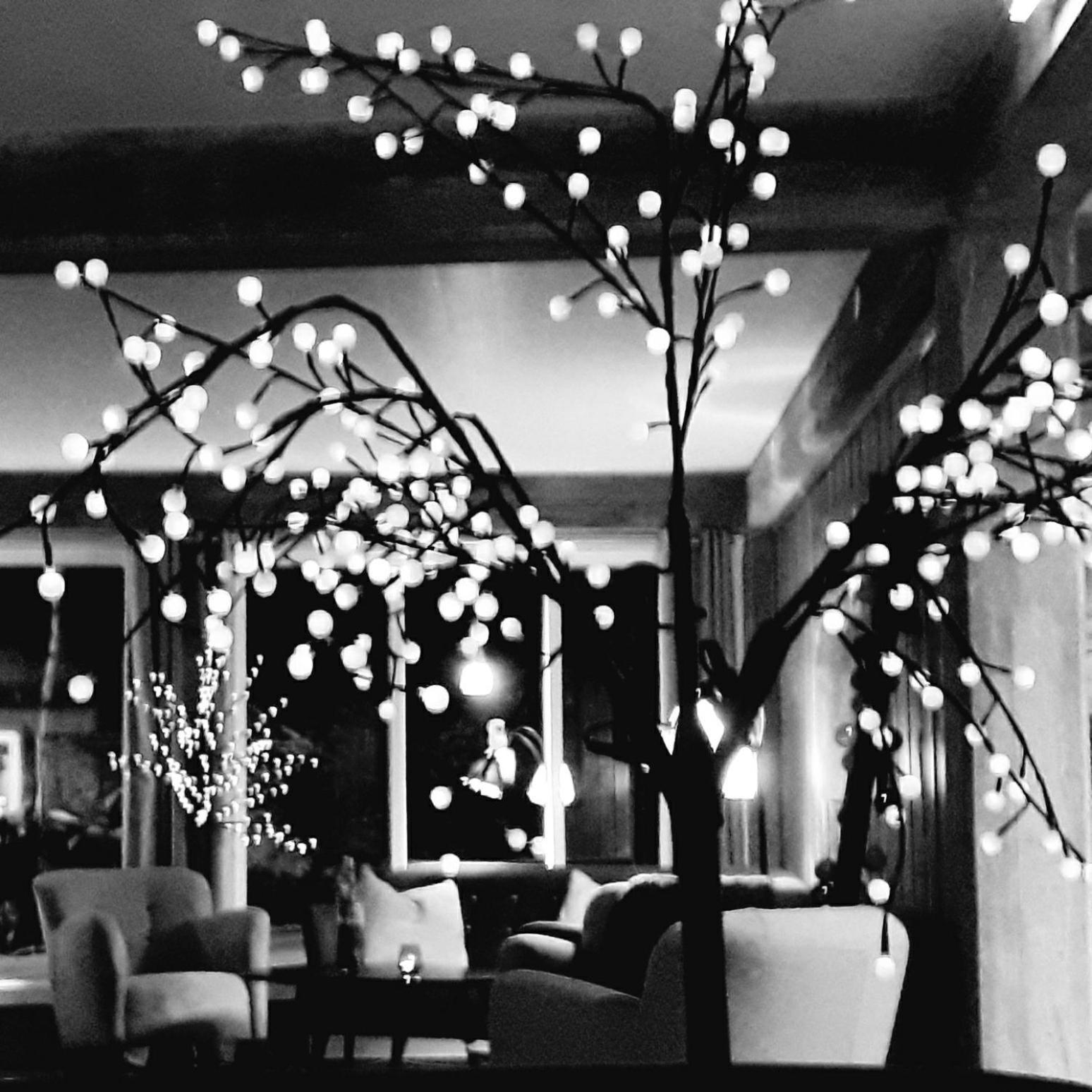 Haukeli Hotel エクステリア 写真