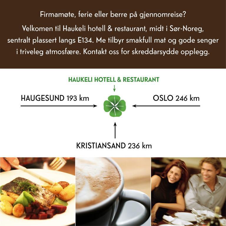 Haukeli Hotel エクステリア 写真